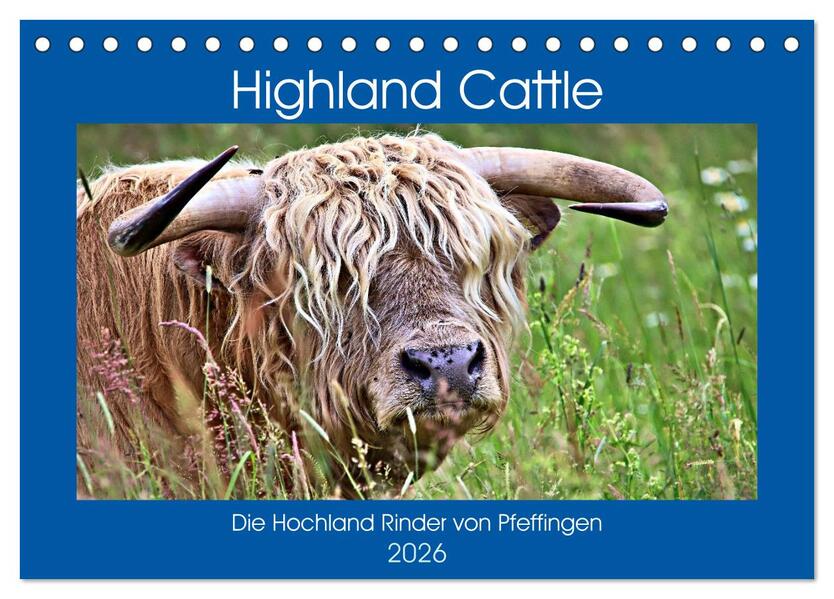 Highland Cattle die Hochlandrinder aus Pfeffingen (Tischkalender 2026 DIN A5 quer) CALVENDO Monatskalender