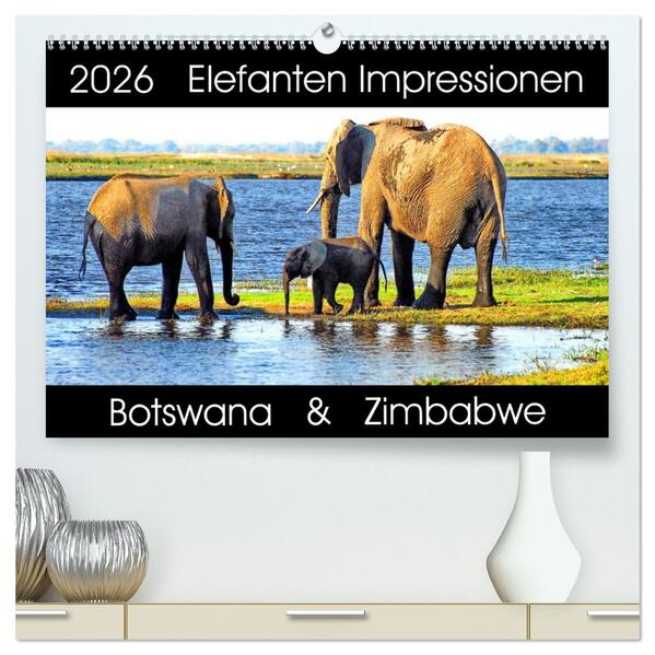 Elefanten Impressionen (hochwertiger Premium Wandkalender 2026 DIN A2 quer) Kunstdruck in Hochglanz