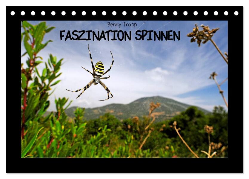 Faszination Spinnen (Tischkalender 2026 DIN A5 quer) CALVENDO Monatskalender