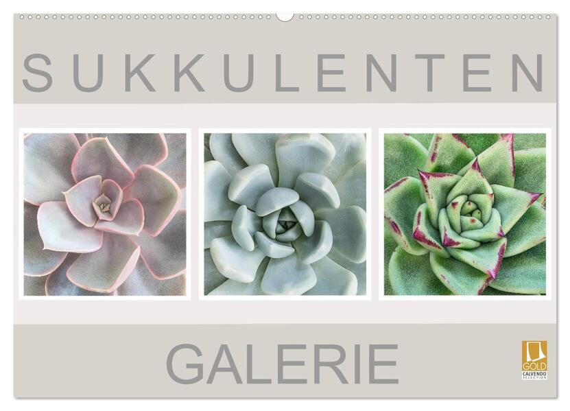 Sukkulenten Galerie (Wandkalender 2026 DIN A2 quer) CALVENDO Monatskalender