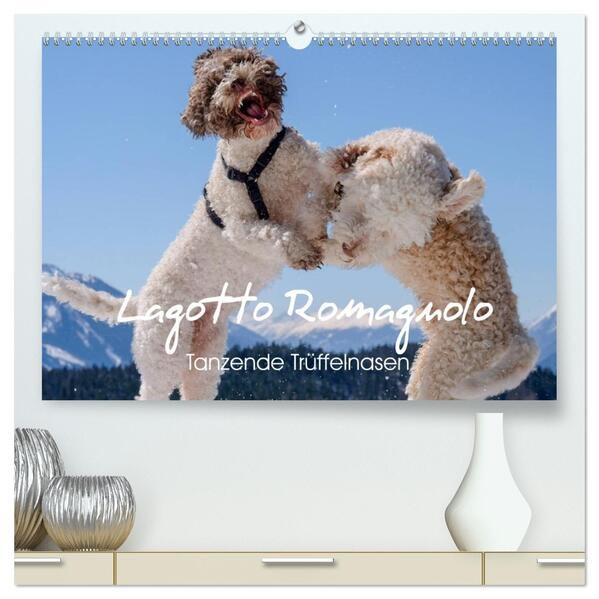 Lagotto Romagnolo Tanzende Trüffelnasen (hochwertiger Premium Wandkalender 2026 DIN A2 quer) Kunstdruck in Hochglanz
