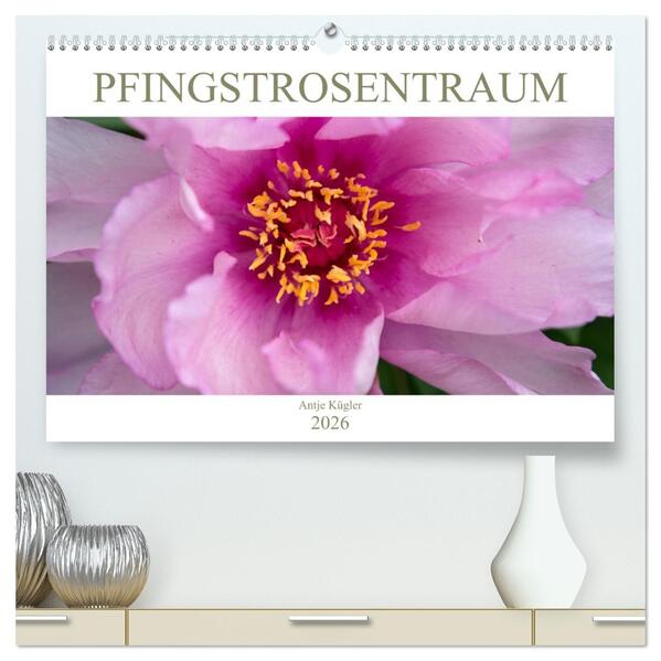 Pfingstrosentraum (hochwertiger Premium Wandkalender 2026 DIN A2 quer) Kunstdruck in Hochglanz