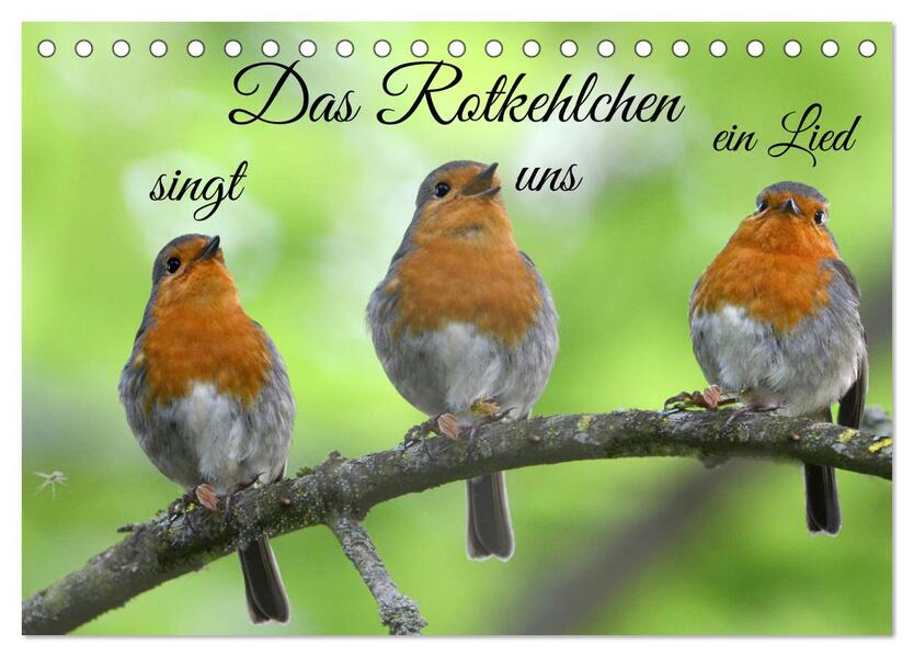 Das Rotkehlchen singt uns ein Lied (Tischkalender 2026 DIN A5 quer) CALVENDO Monatskalender