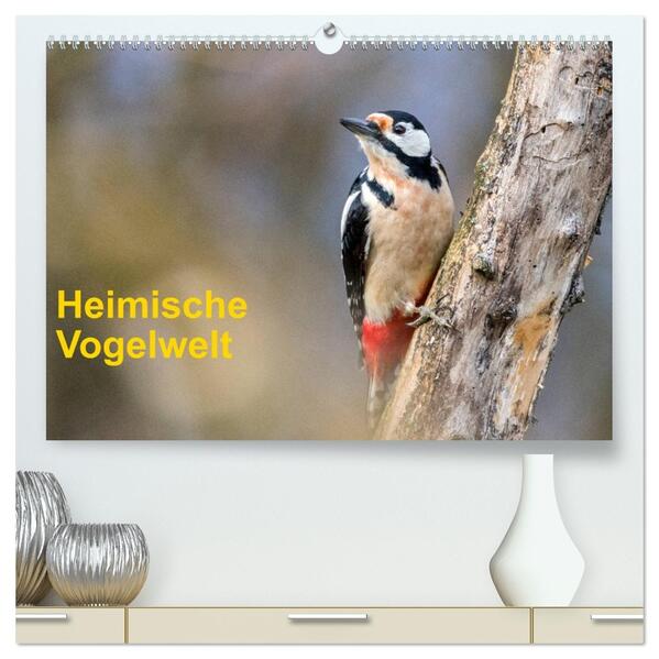 Heimische Vogelwelt (hochwertiger Premium Wandkalender 2026 DIN A2 quer) Kunstdruck in Hochglanz