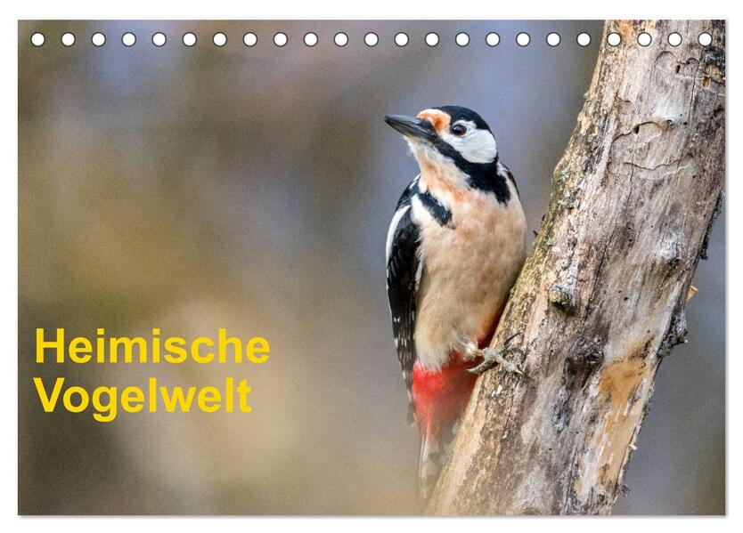 Heimische Vogelwelt (Tischkalender 2026 DIN A5 quer) CALVENDO Monatskalender