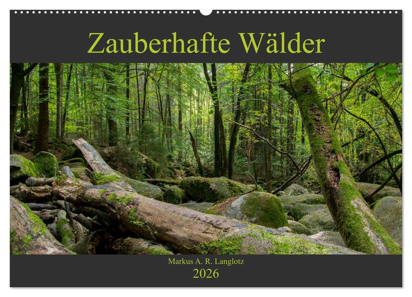 Zauberwelt Wald (Wandkalender 2026 DIN A2 quer) CALVENDO Monatskalender