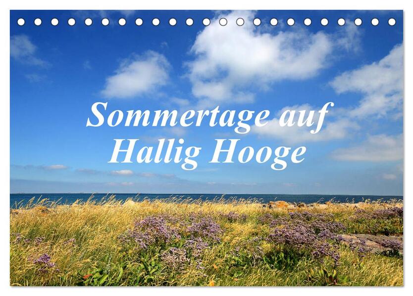 Sommertage auf Hallig Hooge (Tischkalender 2026 DIN A5 quer) CALVENDO Monatskalender