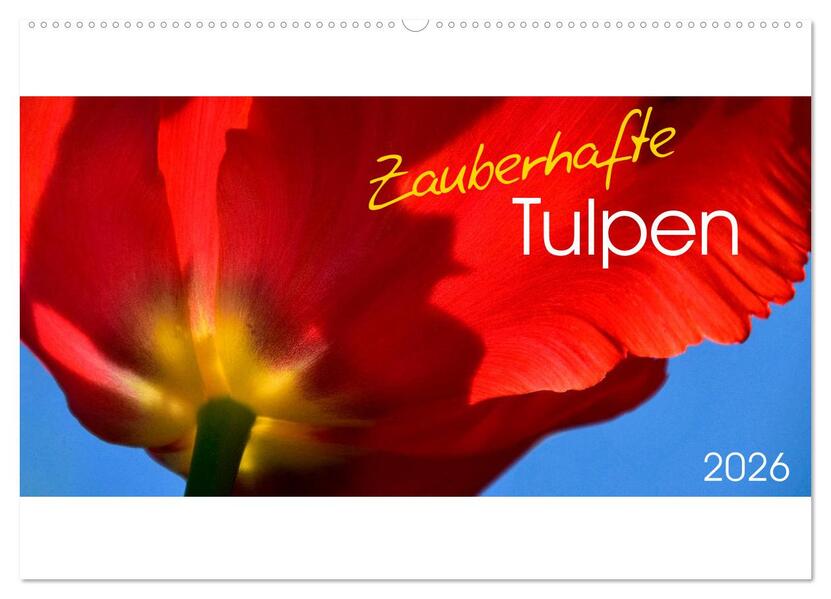 Zauberhafte Tulpen (Wandkalender 2026 DIN A2 quer) CALVENDO Monatskalender