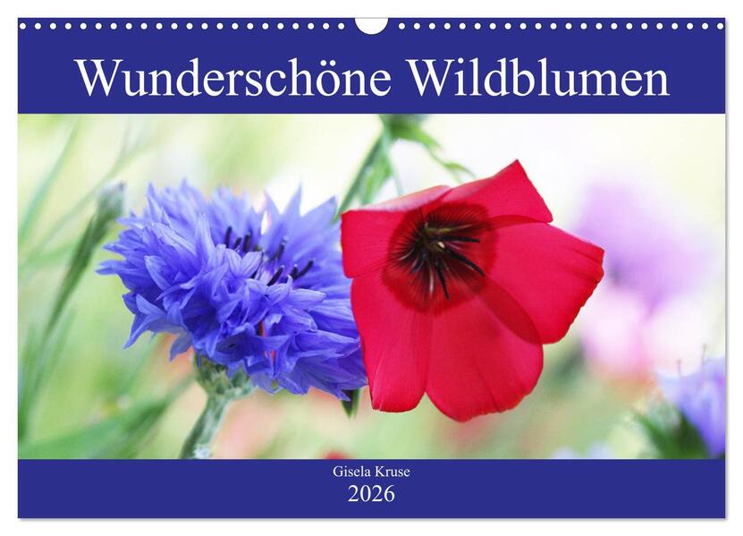 Wunderschöne Wildblumen (Wandkalender 2026 DIN A3 quer) CALVENDO Monatskalender