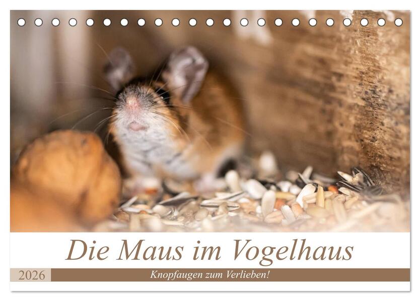 Die Maus im Vogelhaus (Tischkalender 2026 DIN A5 quer) CALVENDO Monatskalender