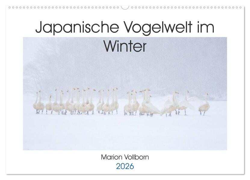 Japanische Vogelwelt im Winter (Wandkalender 2026 DIN A2 quer) CALVENDO Monatskalender