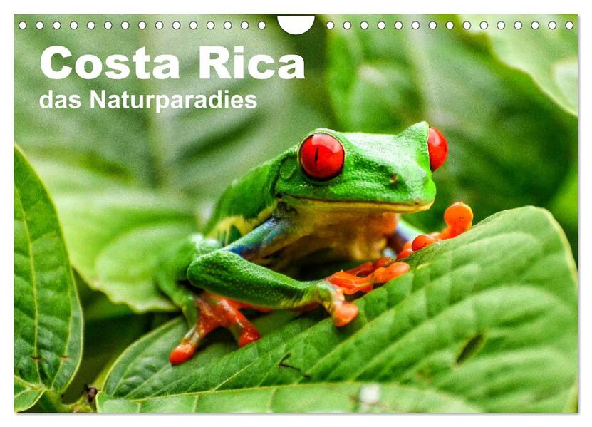 Costa Rica - das Naturparadies (Wandkalender 2026 DIN A4 quer) CALVENDO Monatskalender