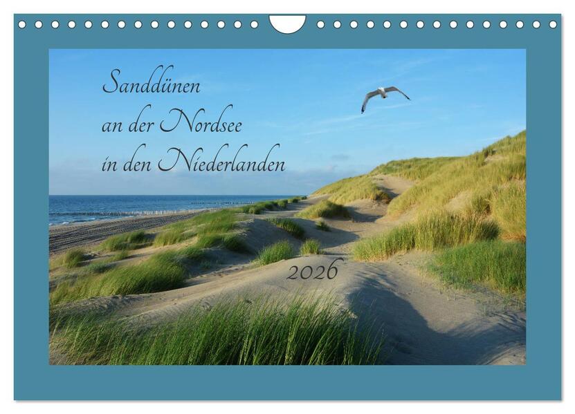 Sanddünen an der Nordsee in den Niederlanden (Wandkalender 2026 DIN A4 quer) CALVENDO Monatskalender