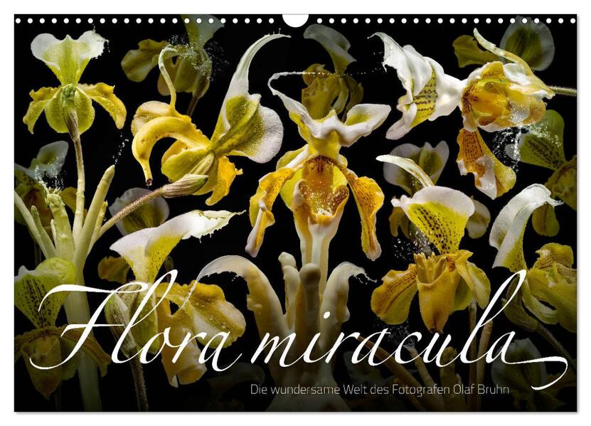 Flora miracula - Die wundersame Welt des Fotografen Olaf Bruhn (Wandkalender 2026 DIN A3 quer) CALVENDO Monatskalender
