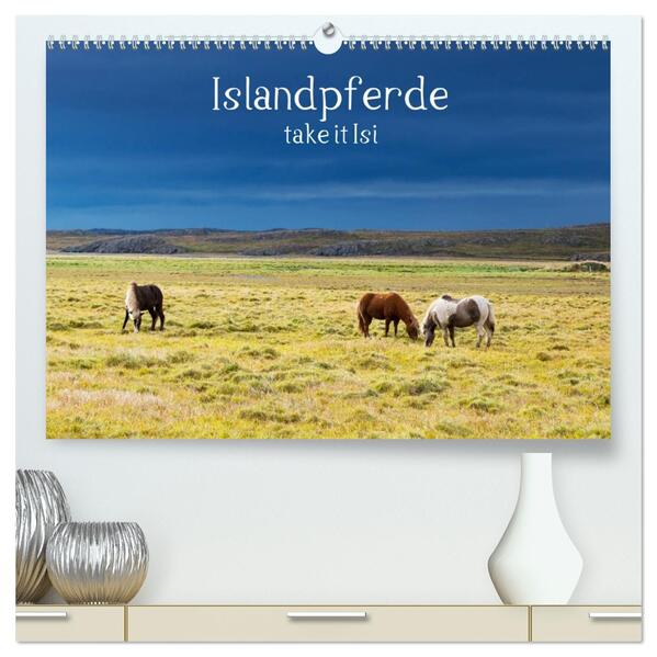 Islandpferde take it Isi (hochwertiger Premium Wandkalender 2026 DIN A2 quer) Kunstdruck in Hochglanz