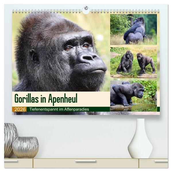 Flachlandgorillas in Apenheul (hochwertiger Premium Wandkalender 2026 DIN A2 quer) Kunstdruck in Hochglanz