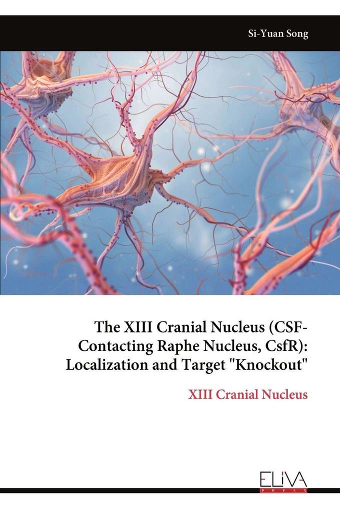 The XIII Cranial Nucleus (CSF-Contacting Raphe Nucleus CsfR)