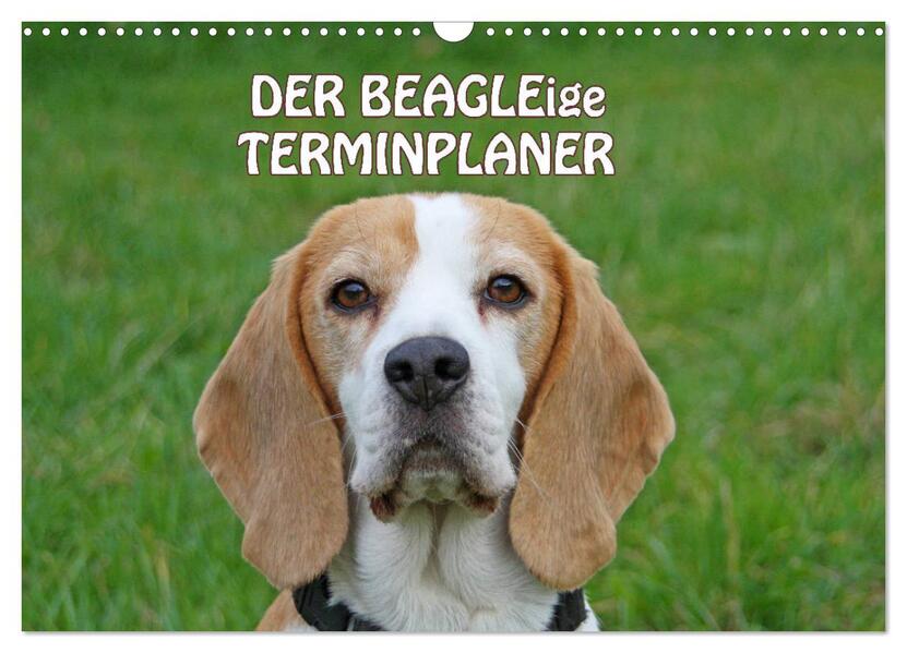 DER BEAGLEige TERMINPLANER (Wandkalender 2026 DIN A3 quer) CALVENDO Monatskalender