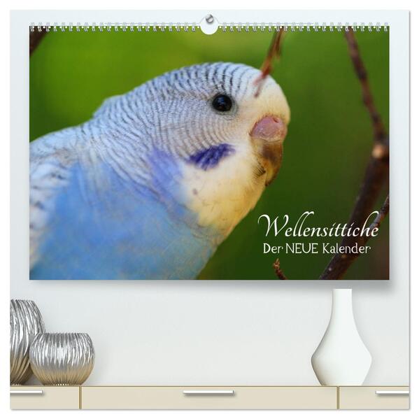 Wellensittiche - der NEUE Kalender (hochwertiger Premium Wandkalender 2026 DIN A2 quer) Kunstdruck in Hochglanz
