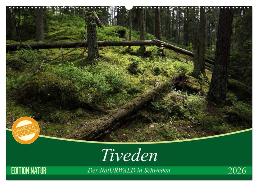 Tiveden der NatURWALD in Schweden (Wandkalender 2026 DIN A2 quer) CALVENDO Monatskalender