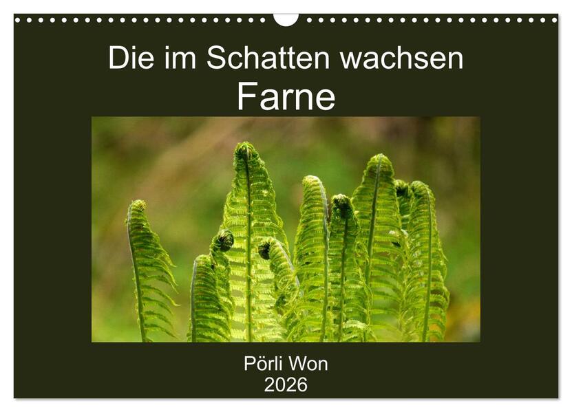 Die im Schatten wachsen - Farne (Wandkalender 2026 DIN A3 quer) CALVENDO Monatskalender
