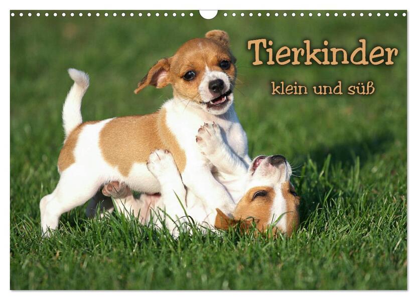Tierkinder klein und süß (Wandkalender 2026 DIN A3 quer) CALVENDO Monatskalender