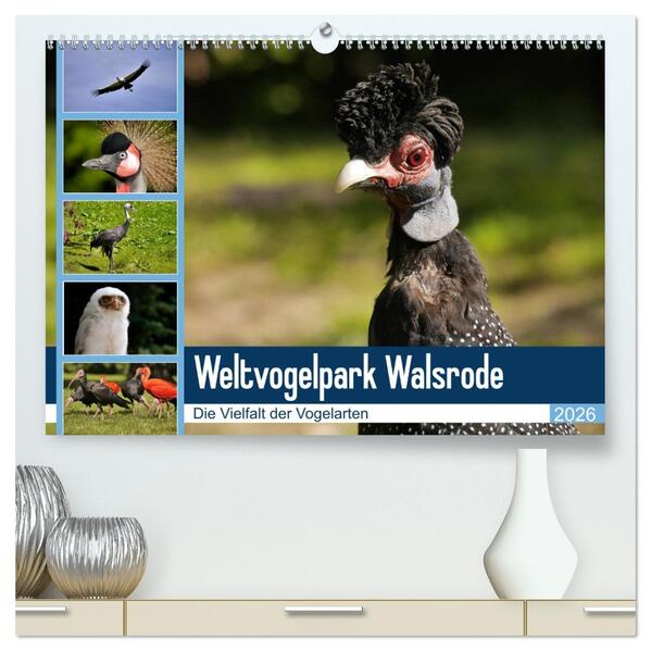 Weltvogelpark Walsrode - Die Vielfalt der Vogelarten (hochwertiger Premium Wandkalender 2026 DIN A2 quer) Kunstdruck in Hochglanz