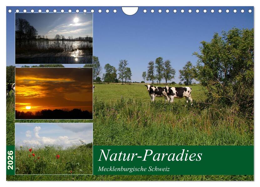 Natur-Paradies Mecklenburgische Schweiz (Wandkalender 2026 DIN A4 quer) CALVENDO Monatskalender