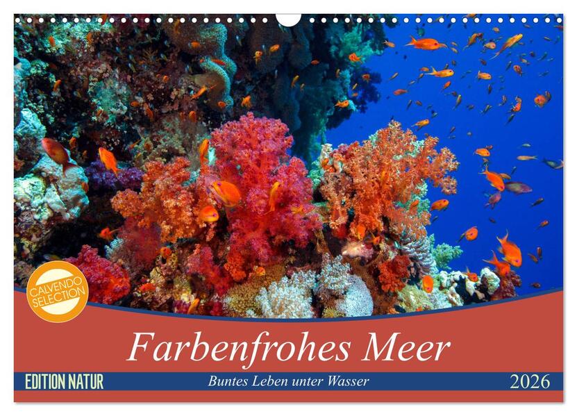 Farbenfrohes Meer (Wandkalender 2026 DIN A3 quer) CALVENDO Monatskalender