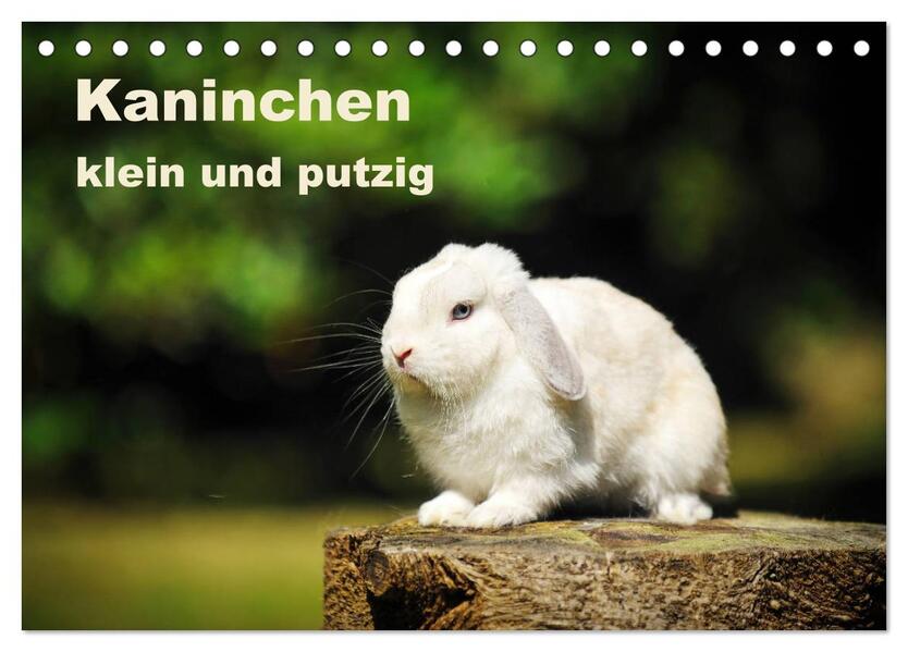 Kaninchen klein und putzig (Tischkalender 2026 DIN A5 quer) CALVENDO Monatskalender