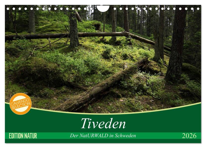 Tiveden der NatURWALD in Schweden (Wandkalender 2026 DIN A4 quer) CALVENDO Monatskalender
