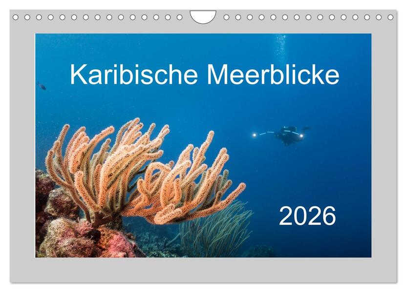 Karibische Meerblicke (Wandkalender 2026 DIN A4 quer) CALVENDO Monatskalender