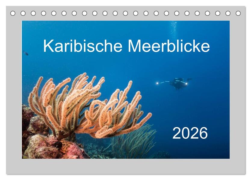 Karibische Meerblicke (Tischkalender 2026 DIN A5 quer) CALVENDO Monatskalender