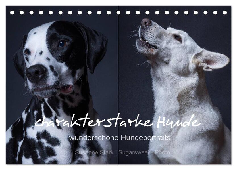charakterstarke Hunde wunderschöne Hundeportraits (Tischkalender 2026 DIN A5 quer) CALVENDO Monatskalender