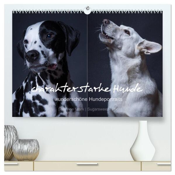 charakterstarke Hunde wunderschöne Hundeportraits (hochwertiger Premium Wandkalender 2026 DIN A2 quer) Kunstdruck in Hochglanz