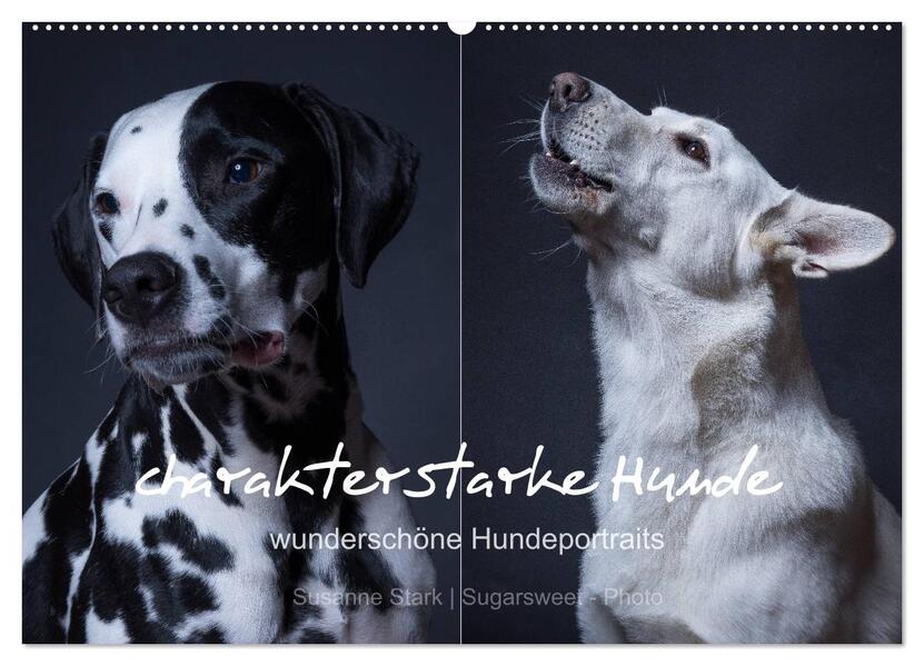 charakterstarke Hunde wunderschöne Hundeportraits (Wandkalender 2026 DIN A2 quer) CALVENDO Monatskalender