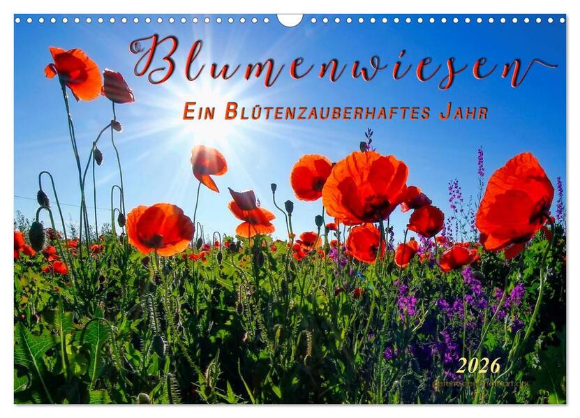 Blumenwiesen - ein blütenzauberhaftes Jahr (Wandkalender 2026 DIN A3 quer) CALVENDO Monatskalender