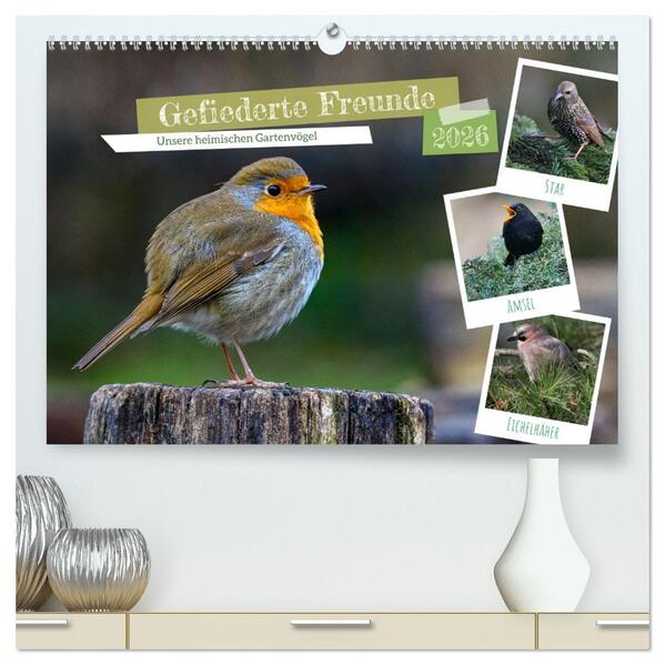 Gefiederte Freunde - Unsere heimischen Gartenvögel (hochwertiger Premium Wandkalender 2026 DIN A2 quer) Kunstdruck in Hochglanz