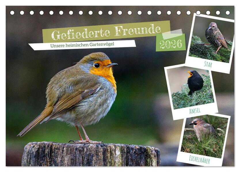 Gefiederte Freunde - Unsere heimischen Gartenvögel (Tischkalender 2026 DIN A5 quer) CALVENDO Monatskalender