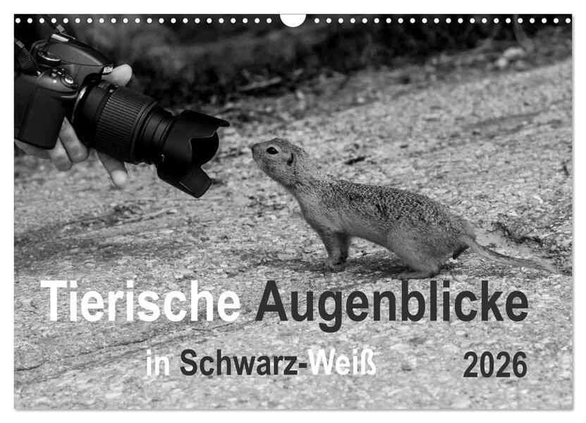 Tierische Augenblicke in Schwarz-Weiß (Wandkalender 2026 DIN A3 quer) CALVENDO Monatskalender