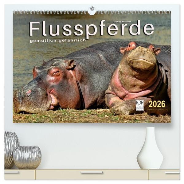 Flusspferde - gemütlich gefährlich (hochwertiger Premium Wandkalender 2026 DIN A2 quer) Kunstdruck in Hochglanz