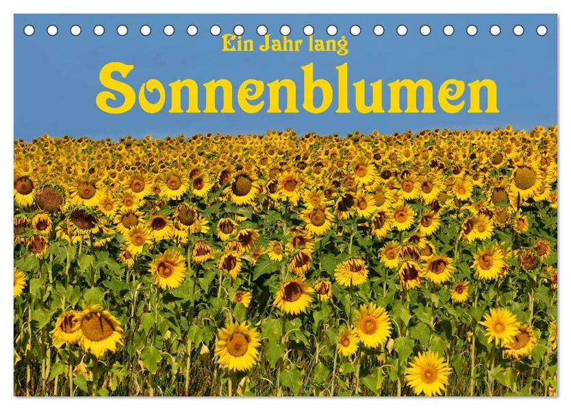 Ein Jahr lang Sonnenblumen (Tischkalender 2026 DIN A5 quer) CALVENDO Monatskalender