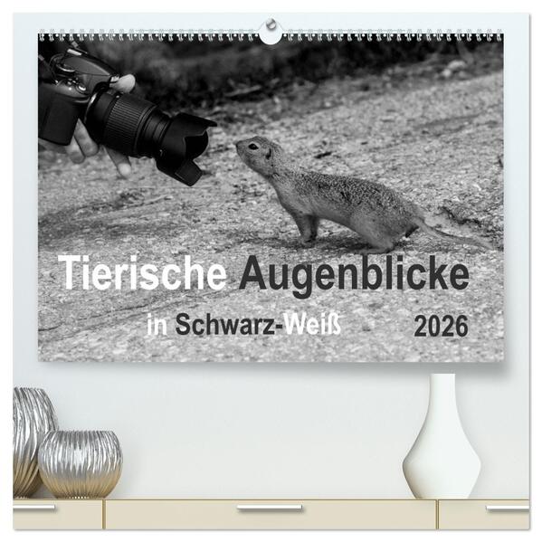 Tierische Augenblicke in Schwarz-Weiß (hochwertiger Premium Wandkalender 2026 DIN A2 quer) Kunstdruck in Hochglanz