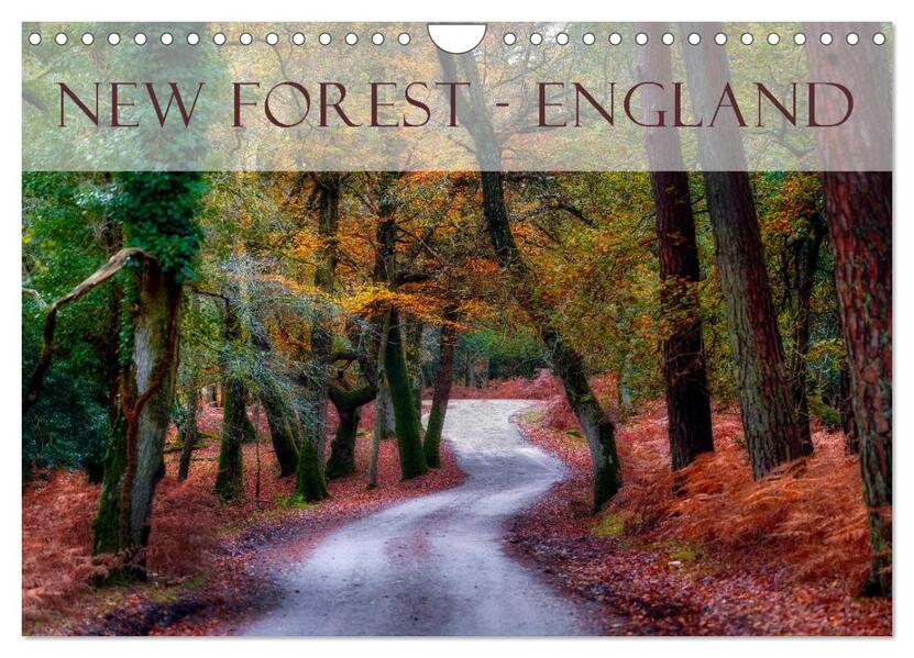 New Forest - England (Wandkalender 2026 DIN A4 quer) CALVENDO Monatskalender