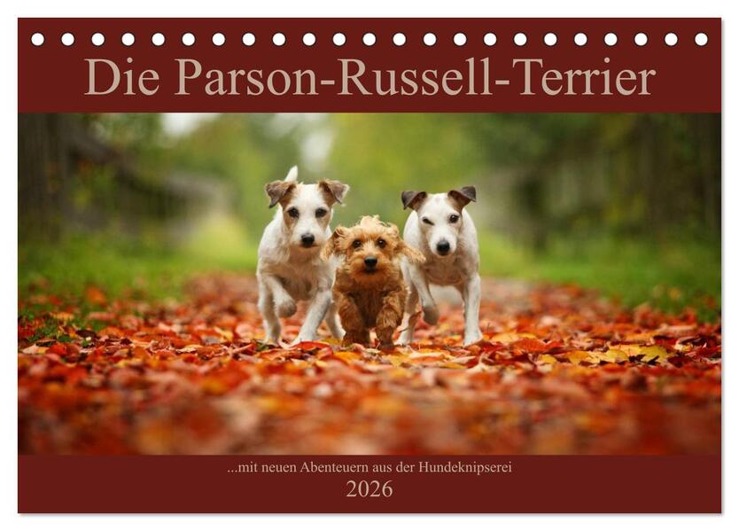 Die Parson-Russell-Terrier ...mit neuen Abenteuern aus der Hundeknipserei (Tischkalender 2026 DIN A5 quer) CALVENDO Monatskalender