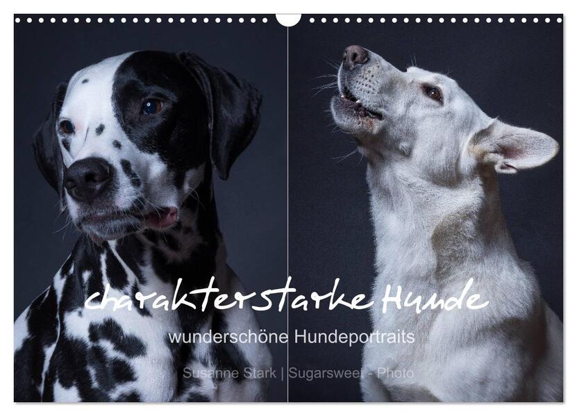charakterstarke Hunde wunderschöne Hundeportraits (Wandkalender 2026 DIN A3 quer) CALVENDO Monatskalender