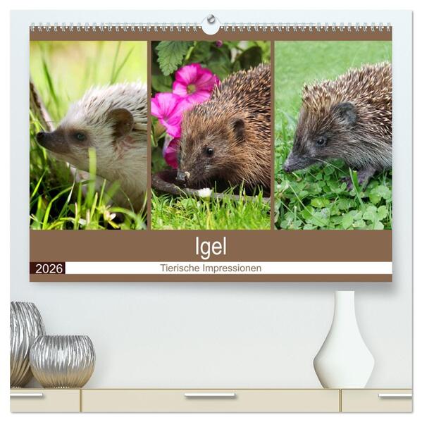 Igel 2026. Tierische Impressionen (hochwertiger Premium Wandkalender 2026 DIN A2 quer) Kunstdruck in Hochglanz