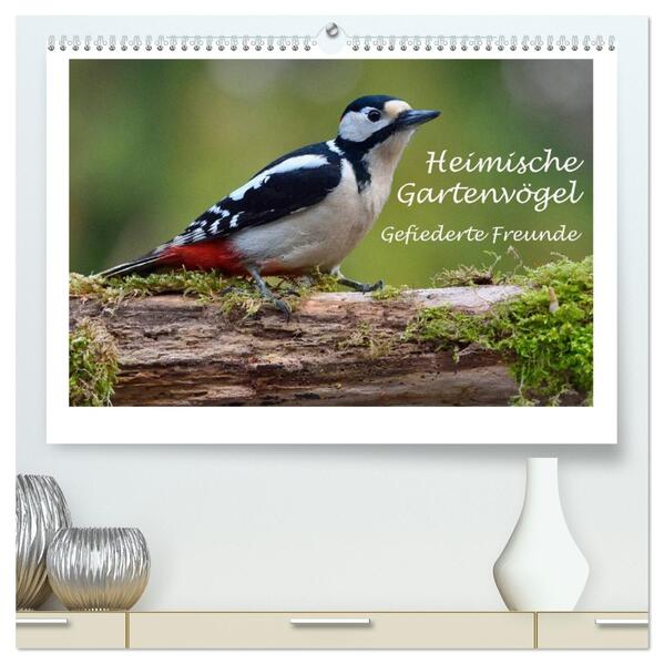 Heimische Gartenvögel - Gefiederte Freunde (hochwertiger Premium Wandkalender 2026 DIN A2 quer) Kunstdruck in Hochglanz