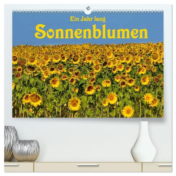 Ein Jahr lang Sonnenblumen (hochwertiger Premium Wandkalender 2026 DIN A2 quer) Kunstdruck in Hochglanz