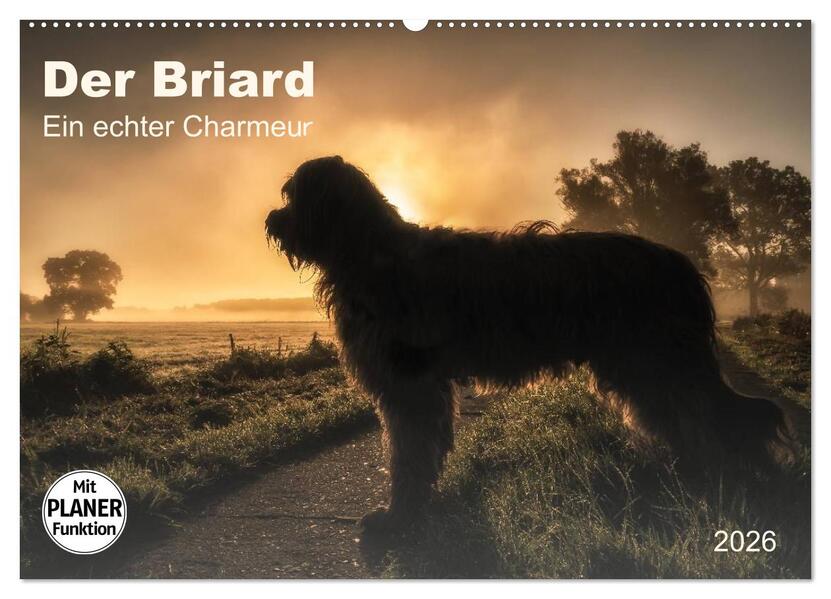 Der Briard 2026 - Ein echter Charmeur (Wandkalender 2026 DIN A2 quer) CALVENDO Monatskalender